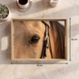 Paard - Oog - Bruin Dienblad Rechthoek middel -USP_Formaat