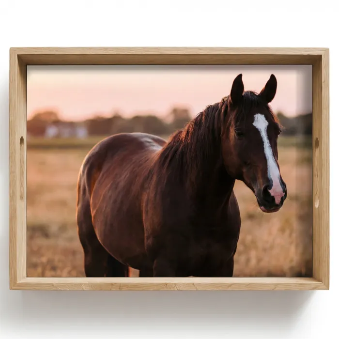 Paard - Zonsondergang - Bruin Dienblad Rechthoek middel -z3d_shopping