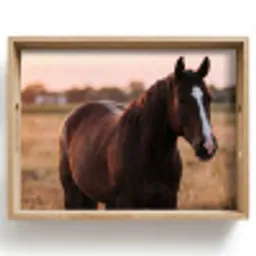 Paard - Zonsondergang - Bruin Dienblad Rechthoek middel -z3d_shopping