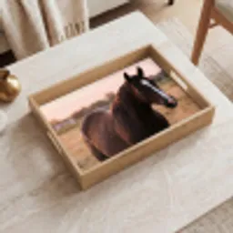 Paard - Zonsondergang - Bruin Dienblad Rechthoek middel -sfeer1