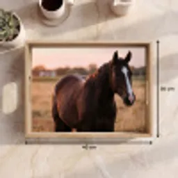 Paard - Zonsondergang - Bruin Dienblad Rechthoek middel -USP_Formaat