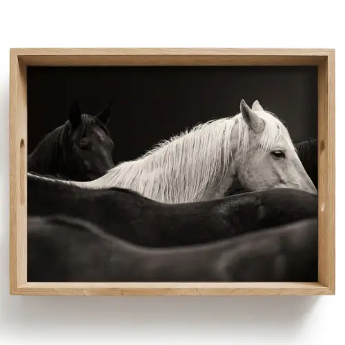 Paarden - Zwart - Wit - Kudde Dienblad Rechthoek middel -z3d_shopping