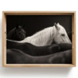 Paarden - Zwart - Wit - Kudde Dienblad Rechthoek middel -z3d_shopping