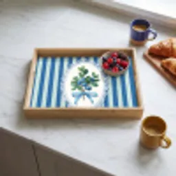 Illustratie - Bessen - Blauw - Strepen Dienblad Rechthoek middel -sfeer2