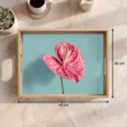 Blad - Anthurium - Stippen - Roze Dienblad Rechthoek middel -USP_Formaat