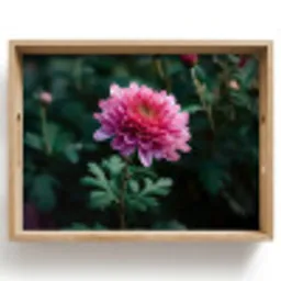 Blad - Chrysant - Roze - Schaduw Dienblad Rechthoek middel -z3d_shopping
