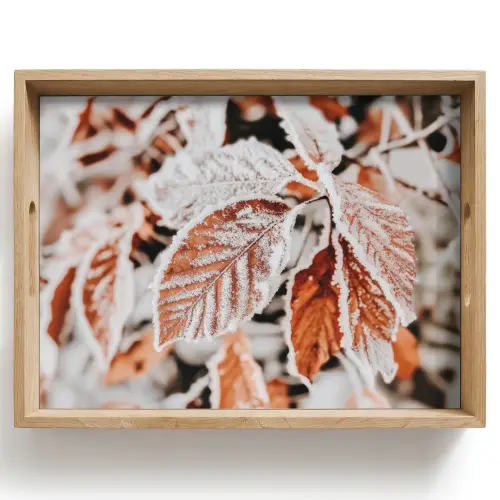 Bladeren - IJs - Winter - Natuur Dienblad Rechthoek middel -z3d_shopping