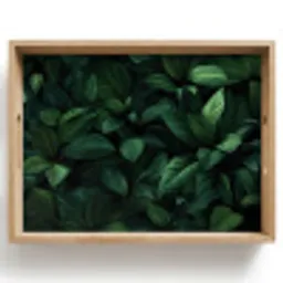 Bladeren - Ovaal - Groen - Nerven Dienblad Rechthoek middel -z3d_shopping
