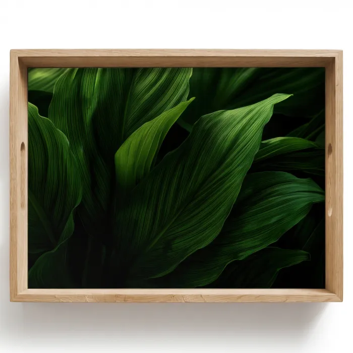 Bladeren - Schaduw - Groen - Textuur Dienblad Rechthoek middel -z3d_shopping