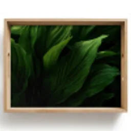 Bladeren - Schaduw - Groen - Textuur Dienblad Rechthoek middel -z3d_shopping