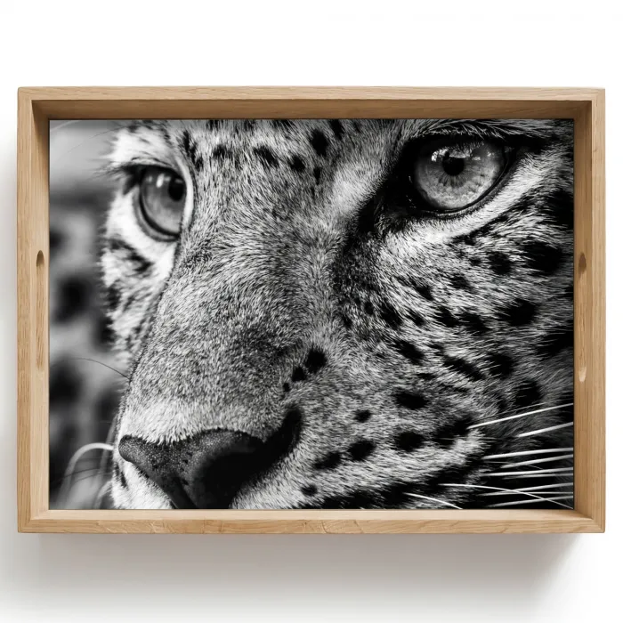 Luipaard - Zwart - Wit - Oog Dienblad Rechthoek middel -z3d_shopping