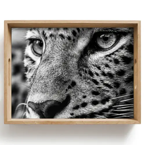 Luipaard - Zwart - Wit - Oog Dienblad Rechthoek middel -z3d_shopping