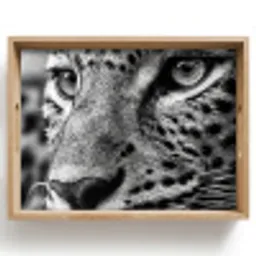 Luipaard - Zwart - Wit - Oog Dienblad Rechthoek middel -z3d_shopping