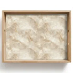 Lichtbeige - Onyx - Subtiel Dienblad Rechthoek middel 911 -z3d_shopping