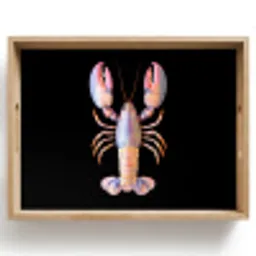 Kreeft - Roze - Zacht - Zwart Dienblad Rechthoek middel -z3d_shopping