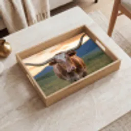Longhorn - Landschap - Zonsondergang Dienblad Rechthoek middel -sfeer1