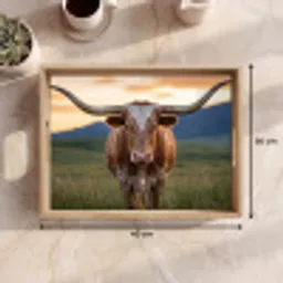 Longhorn - Landschap - Zonsondergang Dienblad Rechthoek middel -USP_Formaat