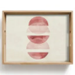 Minimalistisch - Cirkels - Roze Dienblad Rechthoek middel -z3d_shopping