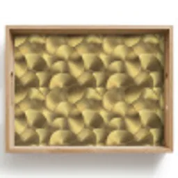 Modern - Cirkel - Goud Dienblad Rechthoek middel 911 -z3d_shopping