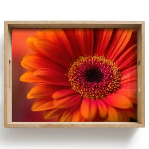 Oranje - Gerbera - Intens Dienblad Rechthoek middel -z3d_shopping