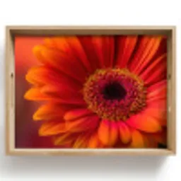 Oranje - Gerbera - Intens Dienblad Rechthoek middel -z3d_shopping