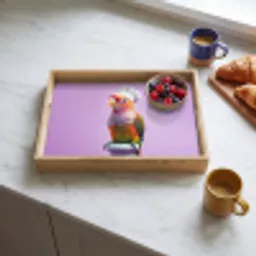 Papegaai - Koksmuts - Pilaar - Vogel Dienblad Rechthoek middel -sfeer2