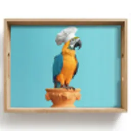 Papegaai - Koksmuts - Grappig - Vogel Dienblad Rechthoek middel -z3d_shopping