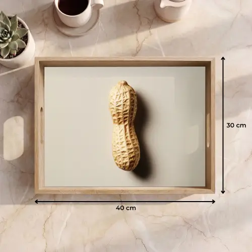 Pinda - Ruw - Beige Dienblad Rechthoek middel -USP_Formaat