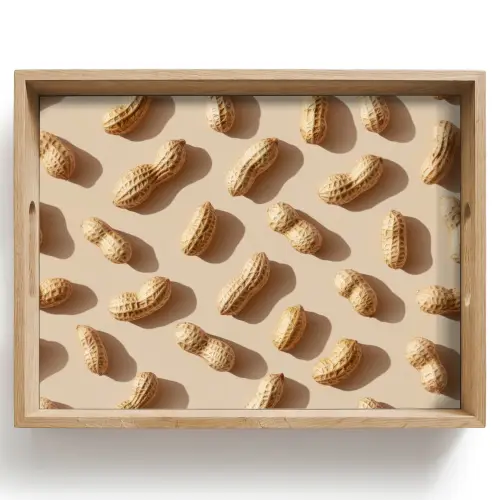 Pinda's - Patroon - Beige Dienblad Rechthoek middel -z3d_shopping