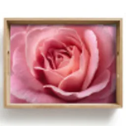 Roze - Roos - Romantisch Dienblad Rechthoek middel -z3d_shopping