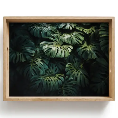 Plant - Monstera - Lichtinval Dienblad Rechthoek middel -z3d_shopping