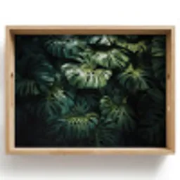 Plant - Monstera - Lichtinval Dienblad Rechthoek middel -z3d_shopping