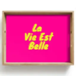 Quote - Retro - Roze Dienblad Rechthoek middel -z3d_shopping