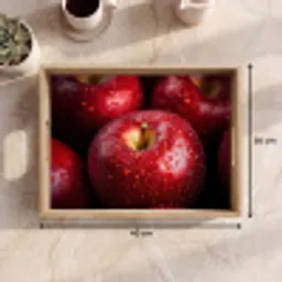 Rood - Appels - Fruit Dienblad Rechthoek middel -USP_Formaat