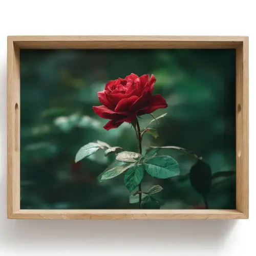Roos - Bladeren - Dieprood Dienblad Rechthoek middel -z3d_shopping