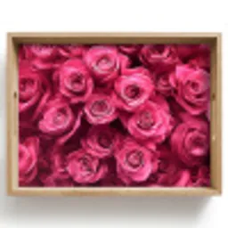 Rozen - Pink - Bloem Dienblad Rechthoek middel -z3d_shopping