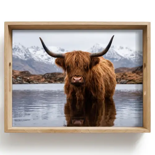 Schotse hooglander - Bruin - Water Dienblad Rechthoek middel -z3d_shopping