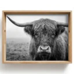 Schotse hooglander - Zwart - Wit - Gras Dienblad Rechthoek middel -z3d_shopping