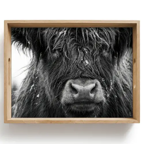 Schotse hooglander - Zwart - Wit - Sneeuwvlokken Dienblad Rechthoek middel -z3d_shopping