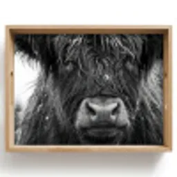 Schotse hooglander - Zwart - Wit - Sneeuwvlokken Dienblad Rechthoek middel -z3d_shopping