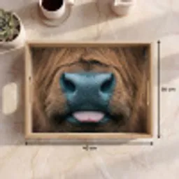 Schotse hooglander - Neus - Bruin Dienblad Rechthoek middel -USP_Formaat