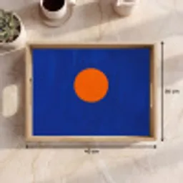 Vorm - Rond - Minimalistisch - Blauw Dienblad Rechthoek middel -USP_Formaat