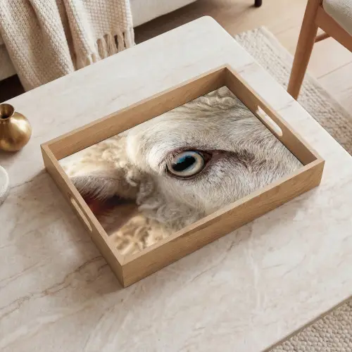 Schaap - Oog - Wit Dienblad Rechthoek middel -sfeer1