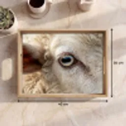 Schaap - Oog - Wit Dienblad Rechthoek middel -USP_Formaat