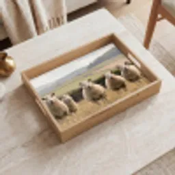 Schapen - Weidenlandschap - Heuvels Dienblad Rechthoek middel -sfeer1