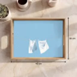 Lakens - Waslijn - Blauw - Minimalistisch Dienblad Rechthoek middel -USP_Formaat