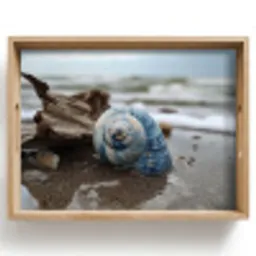 Schelp - Strand - Blauw - Zee Dienblad Rechthoek middel -z3d_shopping