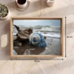 Schelp - Strand - Blauw - Zee Dienblad Rechthoek middel -USP_Formaat
