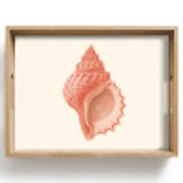 Schelp - Roze - Structuur Dienblad Rechthoek middel -z3d_shopping