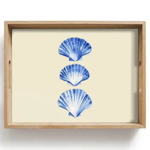 Schelpen - Blauw - Beige Dienblad Rechthoek middel -z3d_shopping